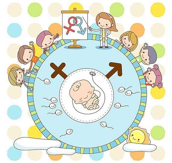 探索适合九到十二个月宝宝的喂养技巧与策略