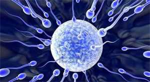 53岁用供卵试管成功率_夫妻染色体正常，为什么胚胎会染色体异常呢？